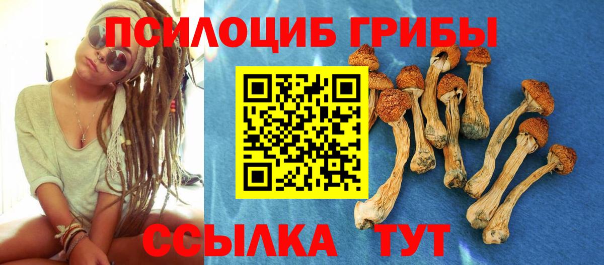 Нововоронеж  Галлюциногенные грибы Magic Shrooms  Вход с VPN 