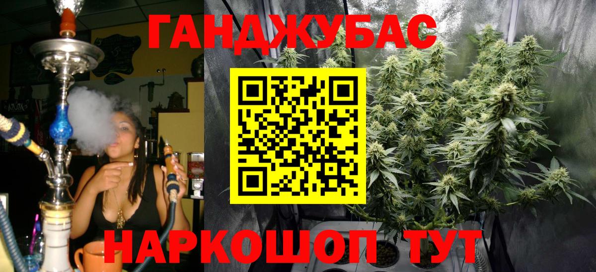 Каннабис OG Kush Нововоронеж